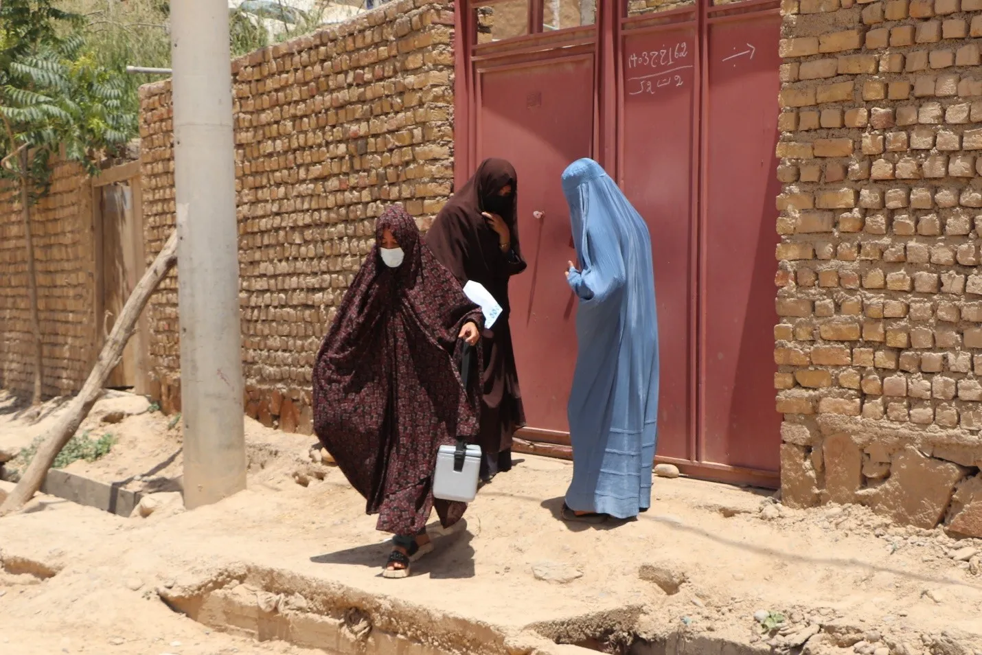 Lifesaving Women: Aatifa Adeb's Efforts to Eradicate Polio in Farah